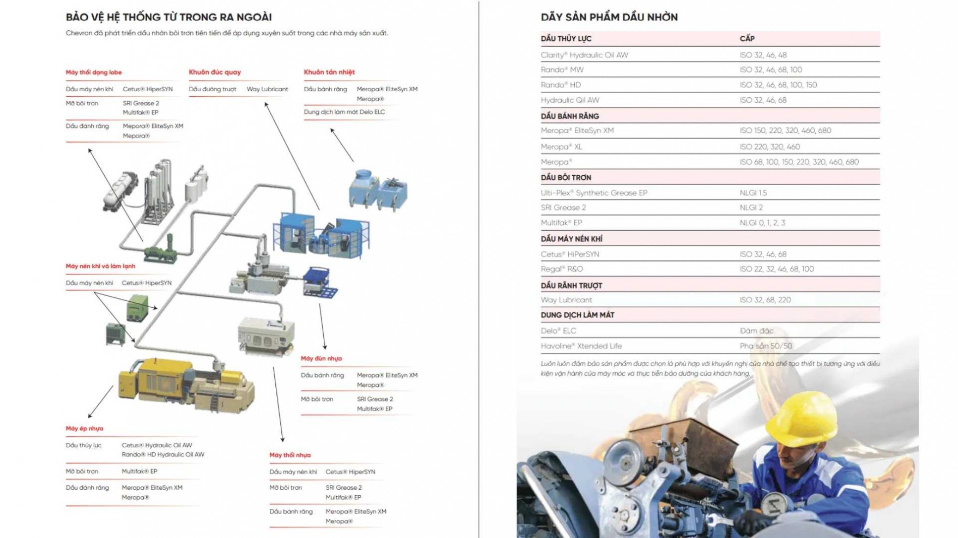 catalogue10