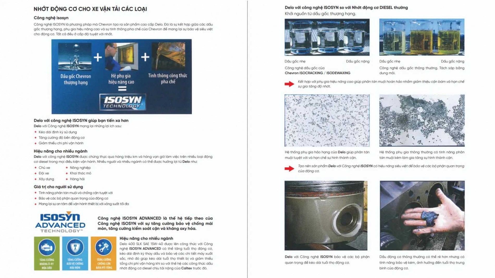 catalogue7